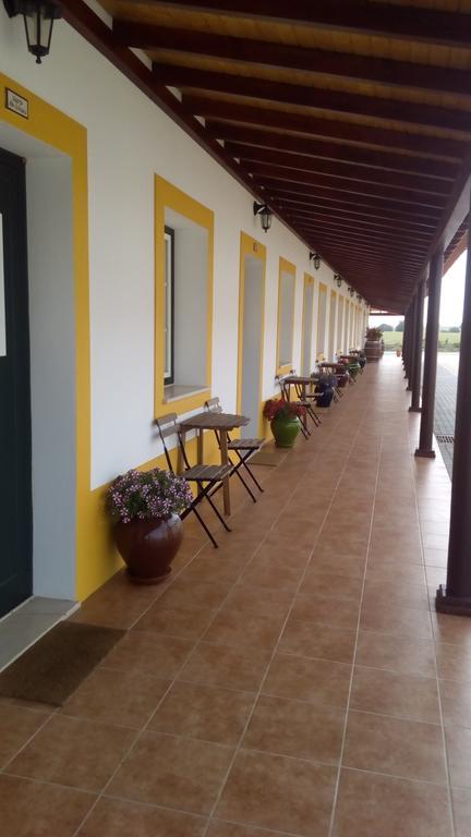 Agro-Turismo Do Roxo Konuk evi Ervidel Dış mekan fotoğraf